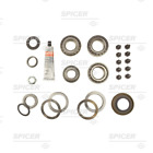 2017102 Dana Holding Corporation Differential