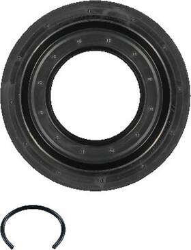 15-31193-01 Dana Victor Reinz Drive Axle Shaft Seal Kit