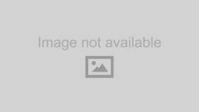 630638 Dorman Front Right Inner Axle Shaft Assembly