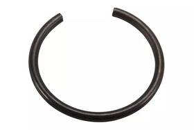 24299328 Gm Genuine Parts F S Ring
