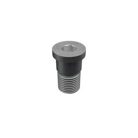 06509906aa Mopar Bolt