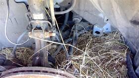 447-50980l Nissan Driver Left Axle Shaft Front Automatic Transmission Fits 09-14 Cube 94261