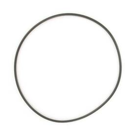 4079aa Skf O Ring