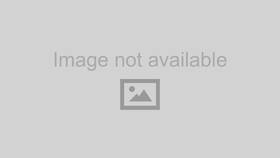 73898-1x Spicer / Dana Front Axle Shaft For Heavy Duty Vehicles