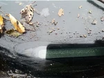 Passenger Axle Shaft Rear 5.7L Fits 09-10 Challenger 262847. Fixed Price $50.00.