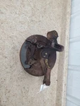 Driver Rear Knuckle/stub 2.0L Cylinder Fwd Fits 05-10 Sportage 300984. Fixed Price $46.00.