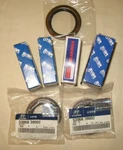 Differential Bearing & Seal Kit Rear For 05-06 Santa. Fixed Price $179.84.