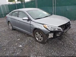2017 Hyundai Sonata Passenger Front Axle Shaft 1.6L Turbo Used 94000 Miles. Fixed Price $80.70.