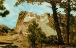 Old Chrome Postcard Sd C851 Mt Rushmore National Memorial Through Pines. Fixed Price $6.75.