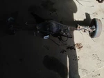 Rear Axle Without Crew Cab 2WD Cylinder 3.77 Ratio Fits 05-06 Tundra 24645. Fixed Price $470.25.