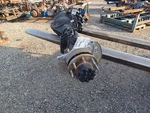 Rear Axle G94 Gasoline 3.73 Ratio Opt GT4 Fits Sierra 2500 Pickup 3038230. Fixed Price $2564.00.