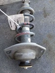 Driver Left Strut Rear Lt 10 Chevrolet Camaro 92195485. Fixed Price $155.99.
