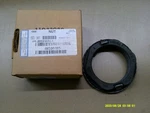 Oem Rear Axle Nut Assembly 2032055C1. Fixed Price $20.00.