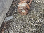 1999-2004 Ford F450 F550 Dana Super 60 4.88 Drw Front Differential Axle 4X4. Fixed Price $1000.00.
