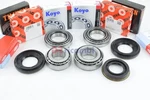Rear Axle Differential Bearing Kit For Mercedes W202 W124 W210 DIFF210MC. Fixed Price $233.86.
