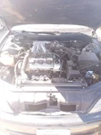 Passenger Right Axle Shaft Fits 94-96 Lexus ES300 29686966. Fixed Price $110.70.