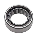 Strange Engineering Rear Pinion Bearing For N1923 And N1924. Fixed Price $40.99.