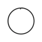 Genuine Mopar Ring 68455781AA. Fixed Price $29.90.