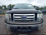 Rear Axle 9.75" Ring Gear Thru 12/19/10 Fits 09-11 Ford F150 Pickup 965873. Fixed Price $887.90.