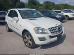 Driver Rear Suspension 164 Type ML450 Fits 06-11 Mercedes Ml-class 457868. Fixed Price $375.00.