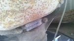Rear Axle 3.73 Ratio Id S409E Fits 99-00 Ford F250SD Pickup 32168297. Fixed Price $539.44.