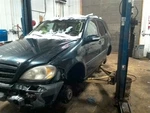Axle Shaft 163 Type Rear ML500 Fits 98-05 Mercedes Ml-class 10193776. Fixed Price $84.28.