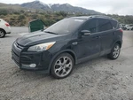 Left Rear Complete Suspension Assembly Oem 13-16 Ford Escape. Fixed Price $150.00.