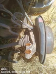 Right Rear Spindle Knuckle Oem 08-13 Toyota Highlandr. Fixed Price $75.00.