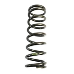 Landrum Coilover Spring R12-250. Fixed Price $112.98.