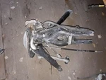 Left Rear Suspension Assy W/shock 12-14 Mercedes C-class C220 11383. Fixed Price $240.00.