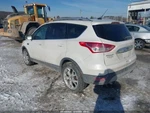 Driver Left Axle Shaft Front 2.0L 2WD Fits 13-19 Escape 3232645. Fixed Price $114.90.
