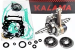 For Yamaha Raptor 700 09 23 Racing Engine Rebuild Crank Shaft Bearings Gasket. Fixed Price $429.00.